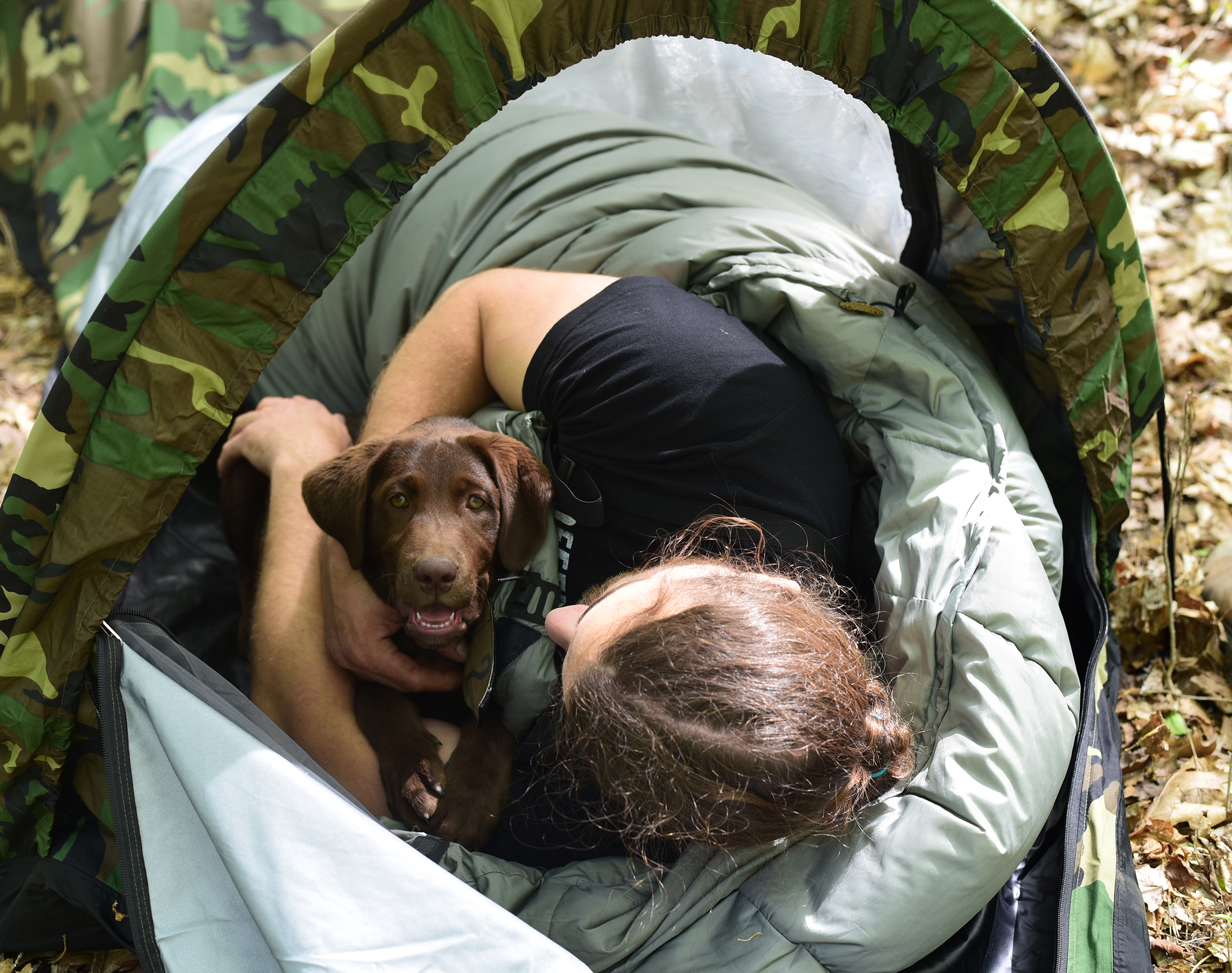 observer shelter 2